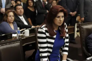 Patricia Leal propone dar certeza si fallecen sujetos de revisión