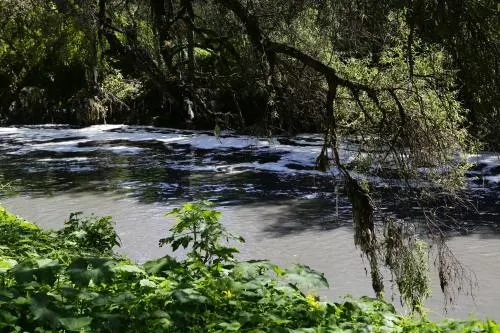 Puebla capital, Texmelucan y Huejotzingo, municipios con mayor contaminación en el Atoyac