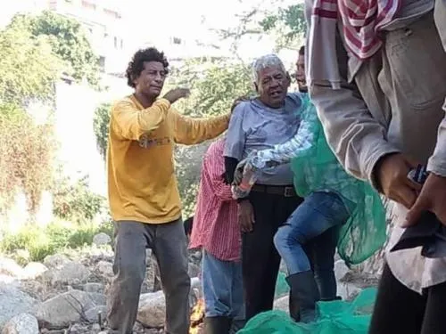 Abejas atacan a 30 empleados municipales de Acapulco