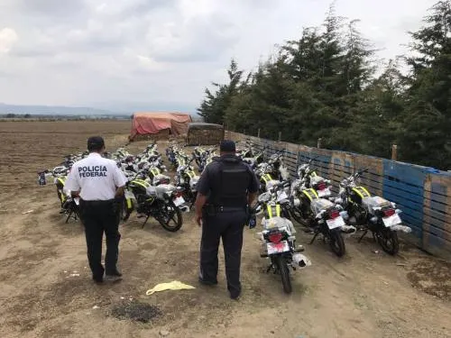 Policía federal recuperó 84 motocicletas robadas por  grupo armado en Ciudad Serdán