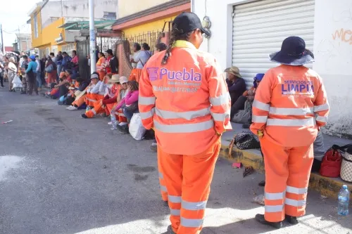 Analizan contratar trabajadores eventuales para suplir a naranjitas