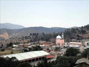 Líder panista en Vicente Guerrero se quita la vida de un disparo