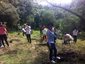 Ayuntamiento se suma a reforestación en Bioparque La Calera
