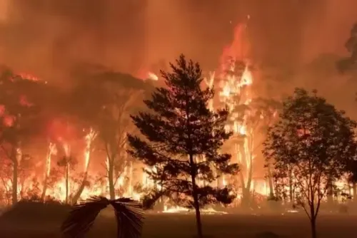 Incontenibles los incendios forestales en Australia