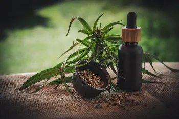 En España, diputados aprueban los derivados del cannabis en la medicina