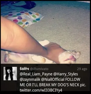 Chica estrangunla a su perro porque One Dierctions no de dio follow