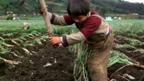 Canadá prohibiría importar productos hechos por niños o esclavos