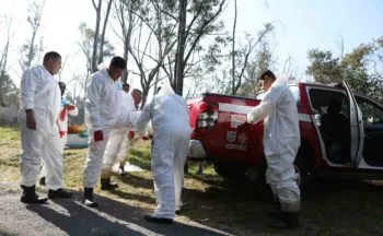 Recuperan 23 cuerpos en fosa común del Panteón Civil de Dolores en CDMX