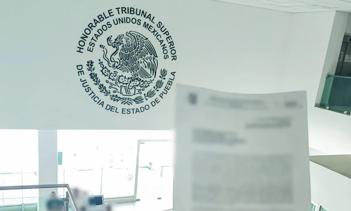 Gobierno de Texmelucan brinda acompañamiento a dueño de ser sintiente por acto de crueldad animal