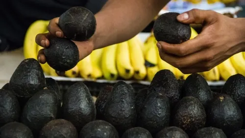 Precio de aguacate llega hasta los 120 pesos por kilo en la Ciudad de México y área metropolitana