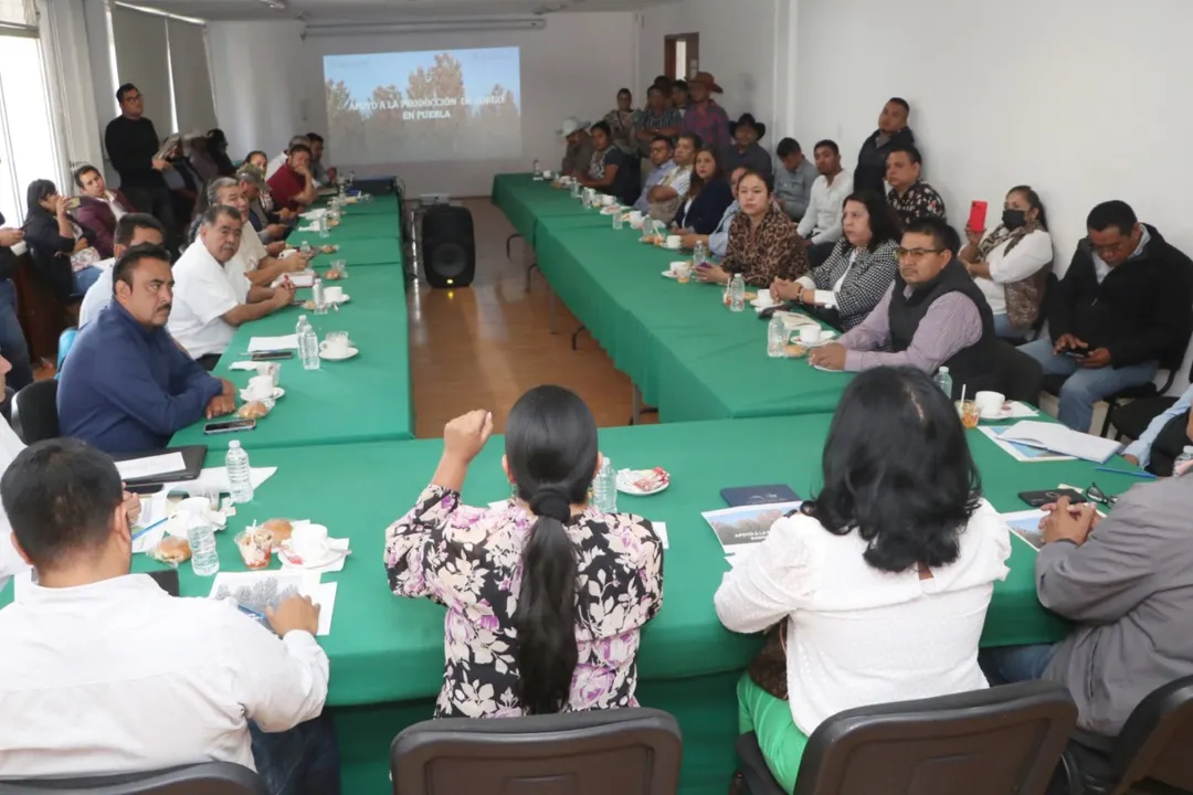 Impulsa gobierno de Sergio Salomón producción de sorgo en Puebla