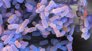 Científicos crean gasolina con bacteria E. coli