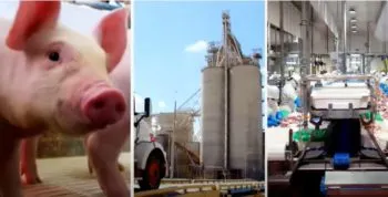 Granjas Carroll superará retos y desafíos en 2023 con su capital humano: VMO