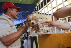 Trabaja Comuna para evitar venta ilegal de mascotas