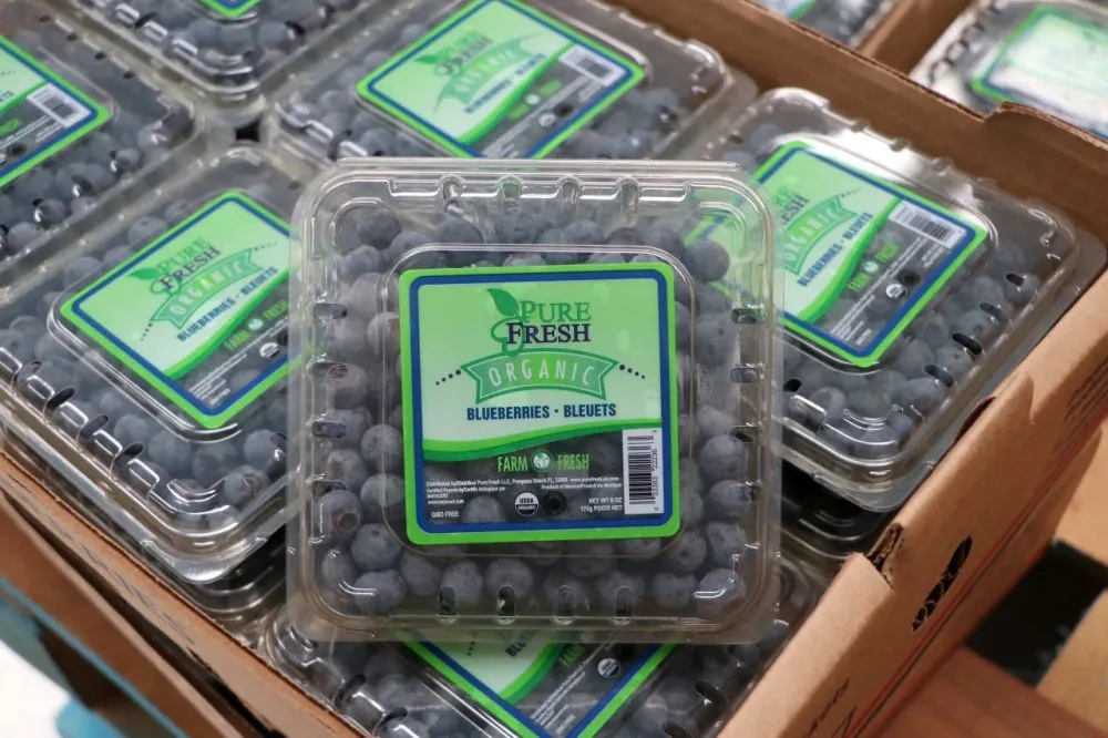 Blueberry