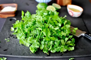 Productores entregan cilantro a senadores de EEUU; solicitan apertura de frontera
