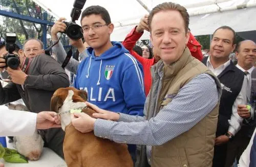 Aplicarán 70 mil dosis, durante Semana Nacional de Vacunación Antirrábica Canina y Felina