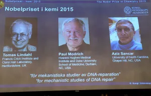 Anuncia Academia Sueca ganadores del Nobel de Química