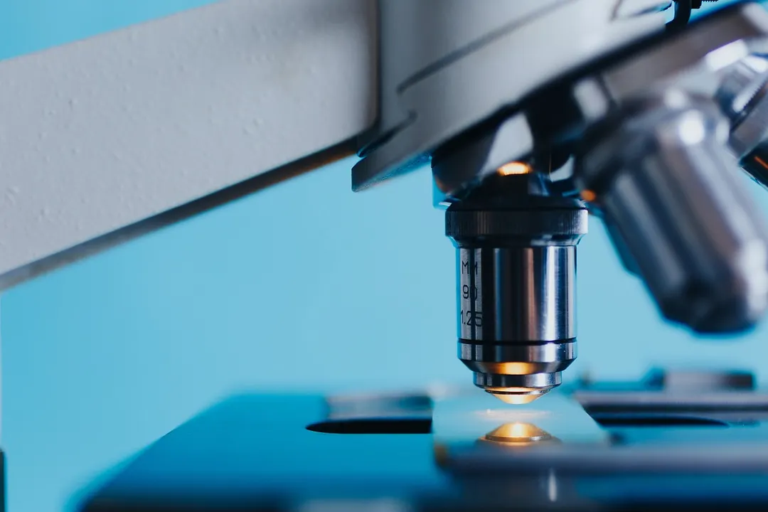 Día Mundial de la Ciencia