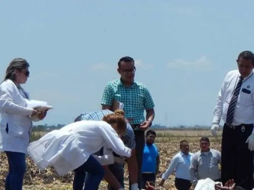 Fin de semana sangriento en Sinaloa deja 9 homicidios