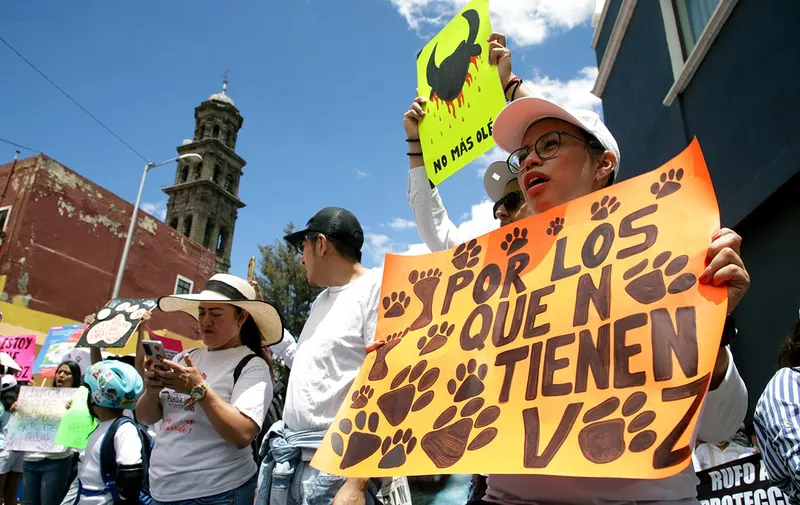 marcha-contra-el-maltrato-animal-puebla