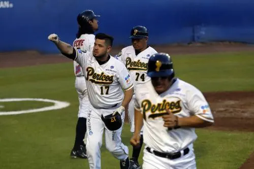 Pericos a la final de la Zona Sur, limpiaron a los Tigres