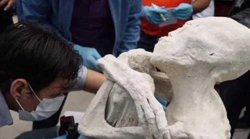 Aseguran que momias “extraterretres” de Perú son reales (Fotos)