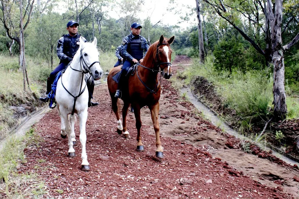 Foto: Gobierno de Puebla