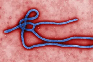 Advierten peligro de que el ébola se convierta en endémico en África