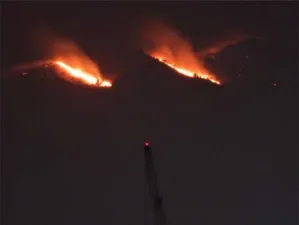 Incendio consume 70 hectáreas de bosque en el Ajusco
