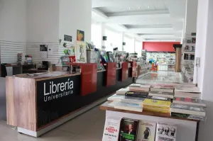 Librería CCU impartirá talleres sobre Vargas Llosa y Dostoievski