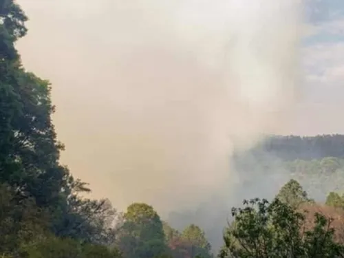 Incendio forestal afecta a 4 municipios de Oaxaca
