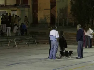 Sismo de esta madrugada no deja daños graves