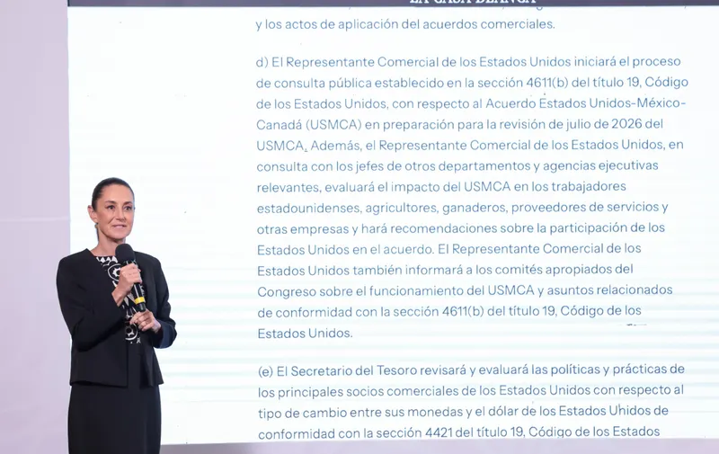 Imagen del artículo