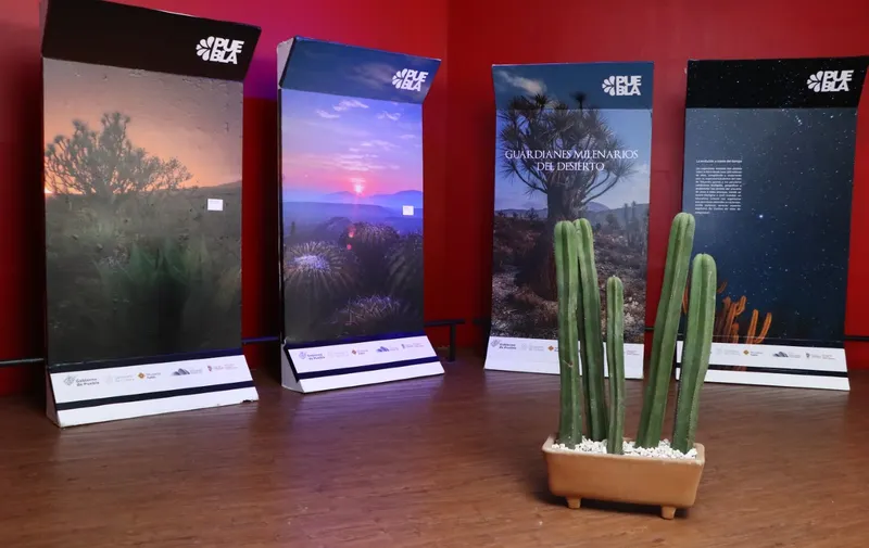 CULTURA REINICIA ACTIVIDADES DEL MUSEO DE LA EVOLUCIÓN TEHUACÁN
