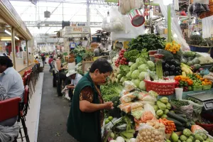 Amas de casa utilizan su imaginación al realizar sus compras