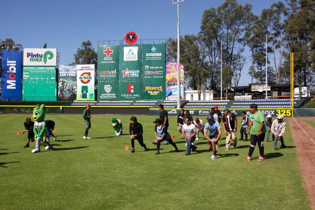 Imdp Pericos Pue Clinica Deportiva