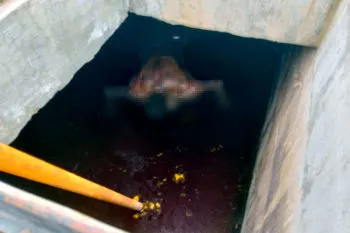 Encuentran el cadáver de un hombre, en estado de descomposición, en Santa Clara Ocoyucan
