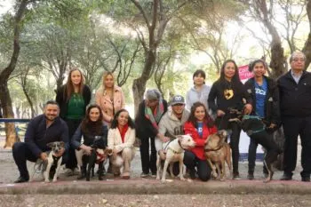 Ayuntamiento de Puebla va por la esterilización de más de 3 mil ‘perros’ y ‘gatos’
