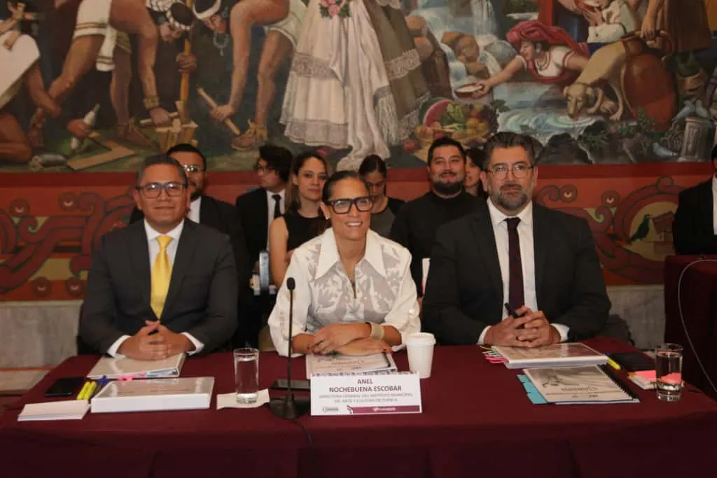Comparecencia IMACP