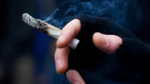 Cerebros de fumadores de marihuana trabajan más rápido