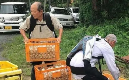 Adultos mayores japoneses siguen trabajado con ayuda de esqueleto mecánico