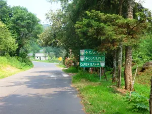 Matan a regidor de Qimixtlán
