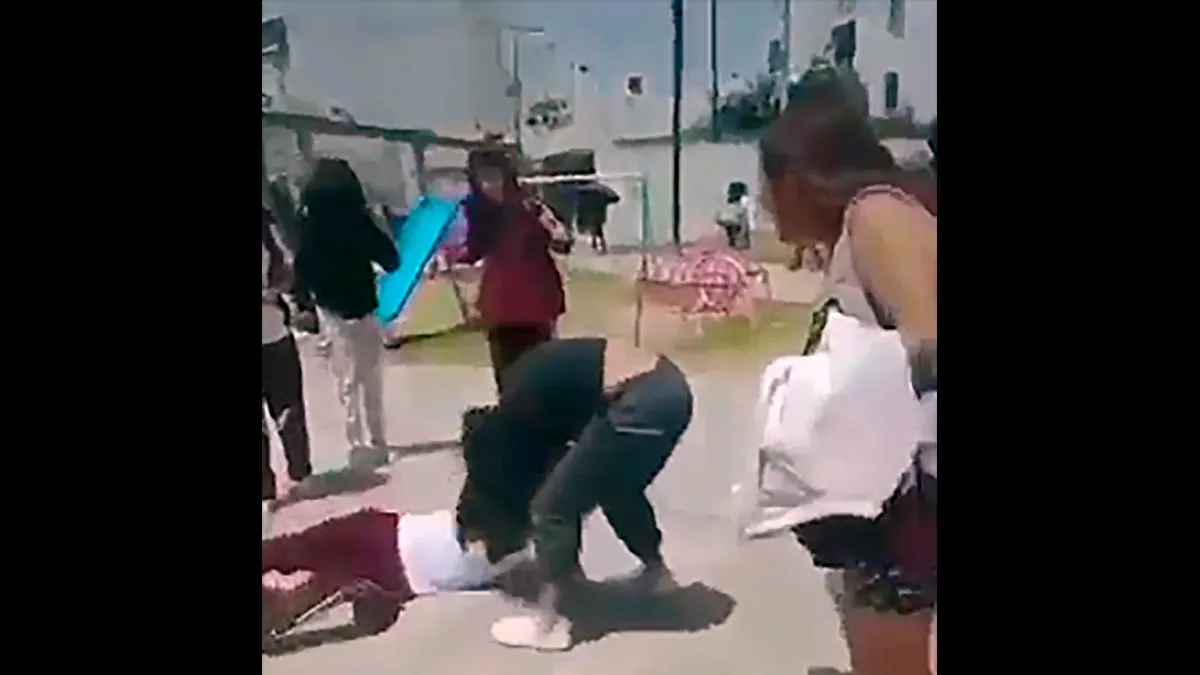 Agresion Secundaria Tecnica 50 Bosques De San Sebastian
