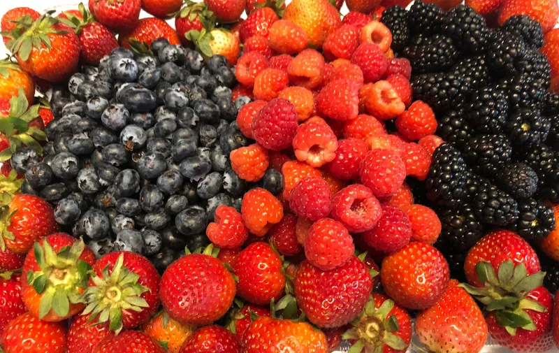 Berries 2023