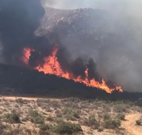 Incendios en Baja California afectan nueve mil 880 hectáreas