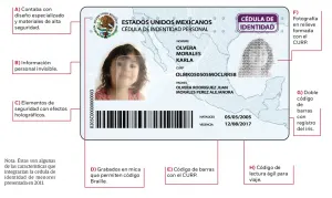 Arrumban datos de cédula de identidad; en el limbo, fichas de 6.8 millones de niños