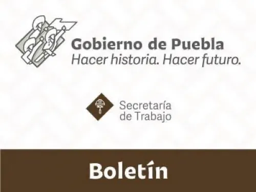 Cooperativas generan empleo y derrama económica en municipios: ST