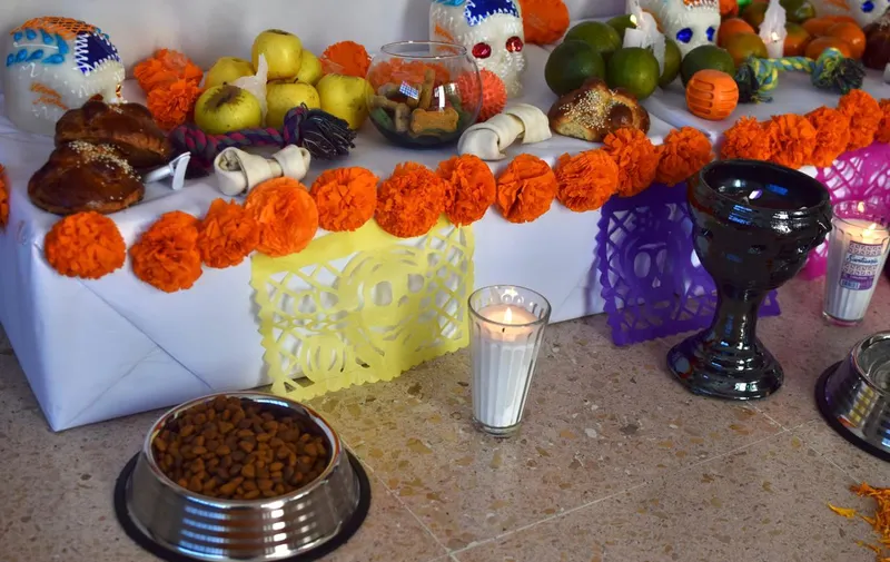 Día de Muertos Mascotas
