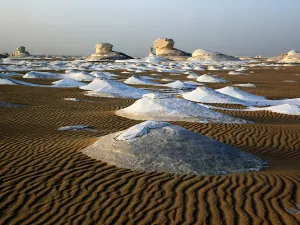 Ordenan pruebas de ADN para identificar a víctimas en Egipto